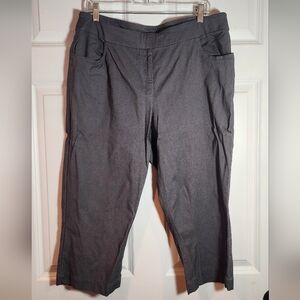 Slim-Sation Stretchy Gray Cropped Pants Tummy Control 18